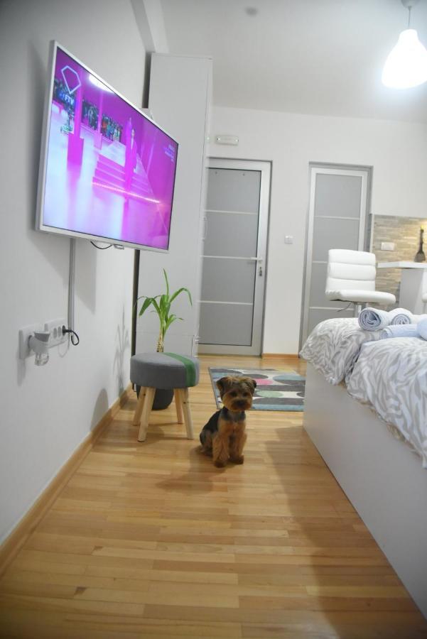 Dekart 2 Apartment Ниш Екстер'єр фото