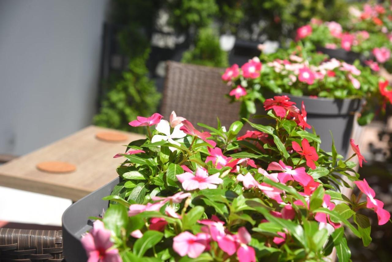 Dekart 2 Apartment Ниш Екстер'єр фото